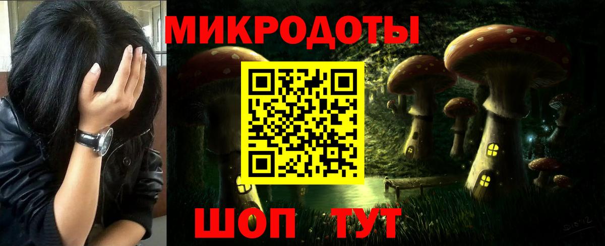 Галлюциногенные грибы MAGIC MUSHROOMS  купить наркотик  Калуга  Галлюциногенные грибы мухоморы  Вход с VPN 